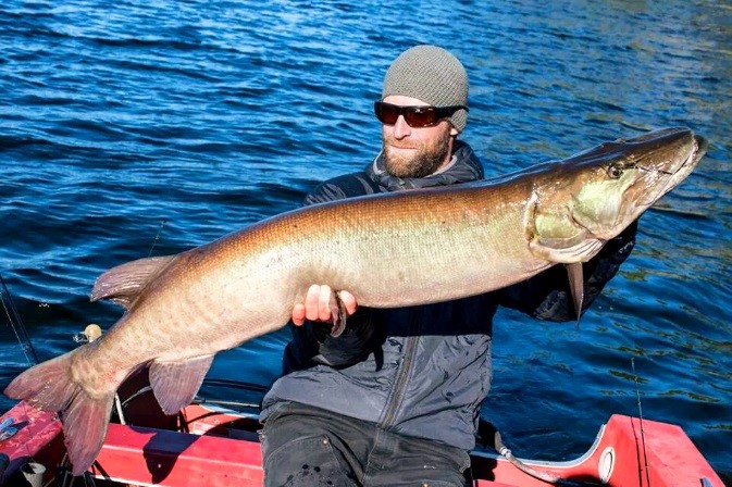 person holding large fish