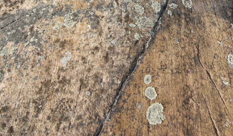 Closeup of a beige rock covered with grooves and marks.