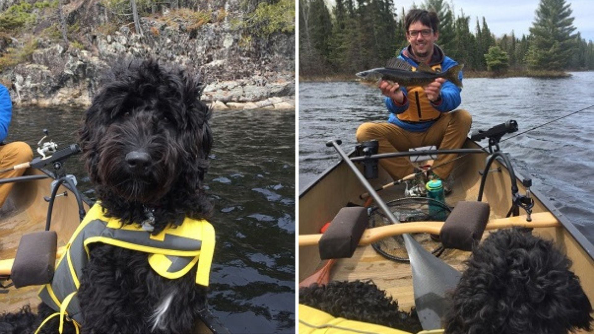 dog in canoe while person fishes