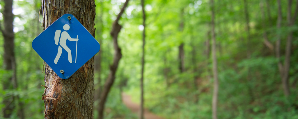 A blue hiking icon trail blaze on a tree next to a trail