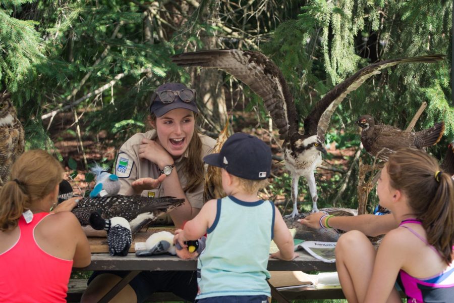 Participants checking out the touch table at Meet the Naturalist program.