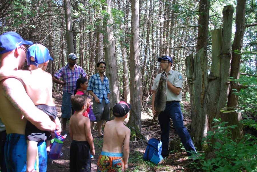 Staff member leading a guided hike talking about raccoons at a stop.