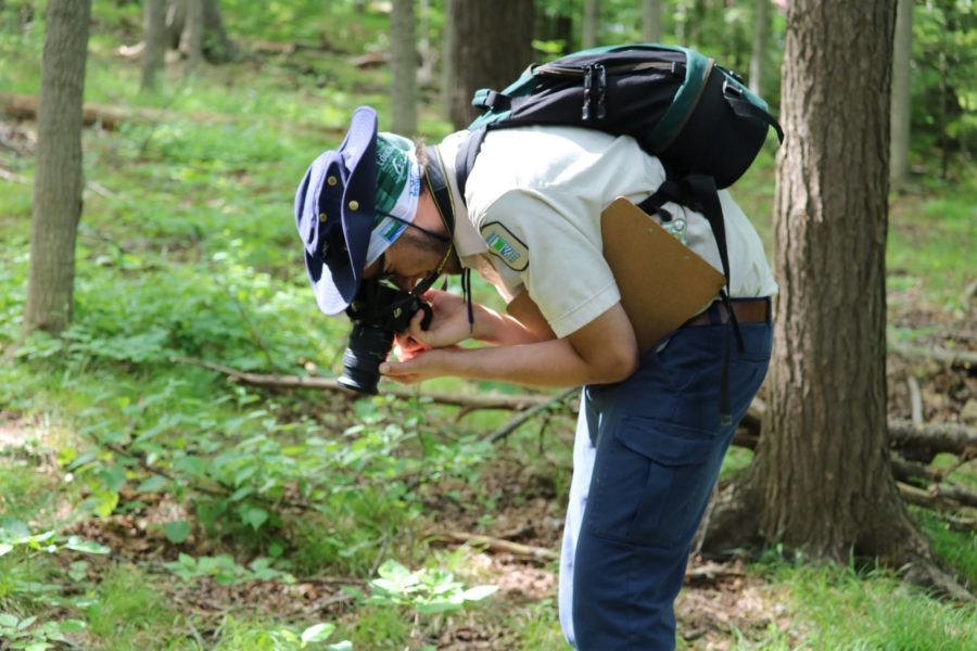 Staff member using DSLR camera to take photos of species in park.