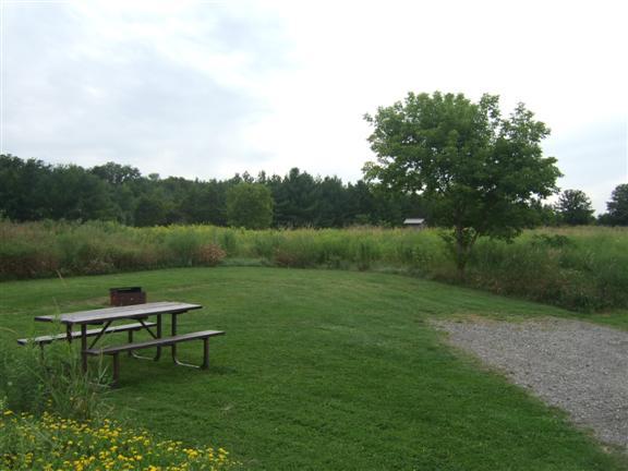 View of site 435. Nice grass floor with one tree on right side of site.