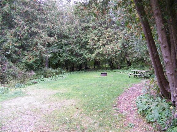 View of site 60. Deep lot with cedars surrounding it.