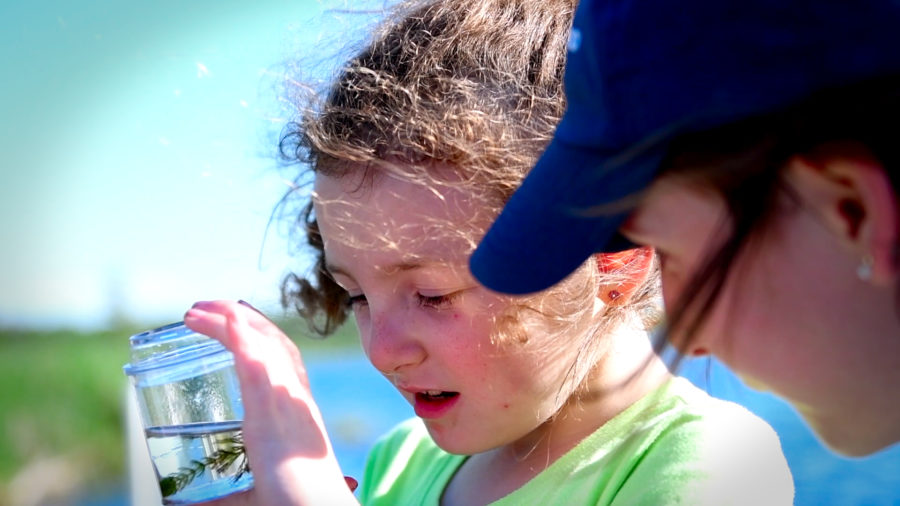 Visitor investigating a glass with aquatics inside during one of the programs.