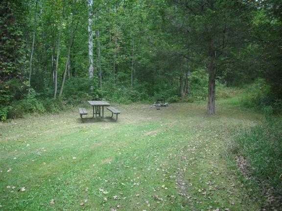 View of site 99. Site is deep with lots of grass and space.