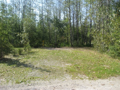 View of site 41. Nice and large site. Lots of sun.