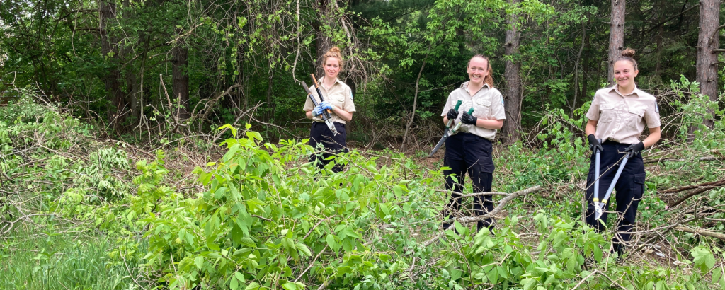 Discovery staff clearing brush
