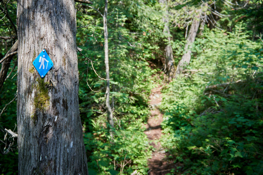 Trail at Lake Superior.