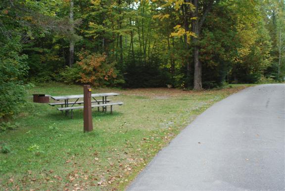 View of site 149. Smaller site but great shade coverage.