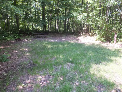 View of shady Site 85 in Hilltop Campground at Pancake Bay Provincial Park.