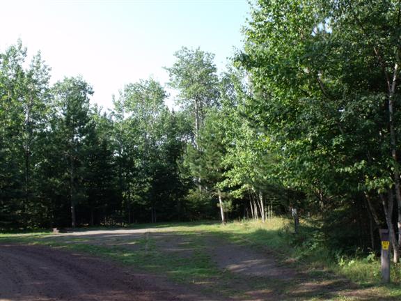 Scenic photo of site 101 where you see how tall the trees surrounding you are.