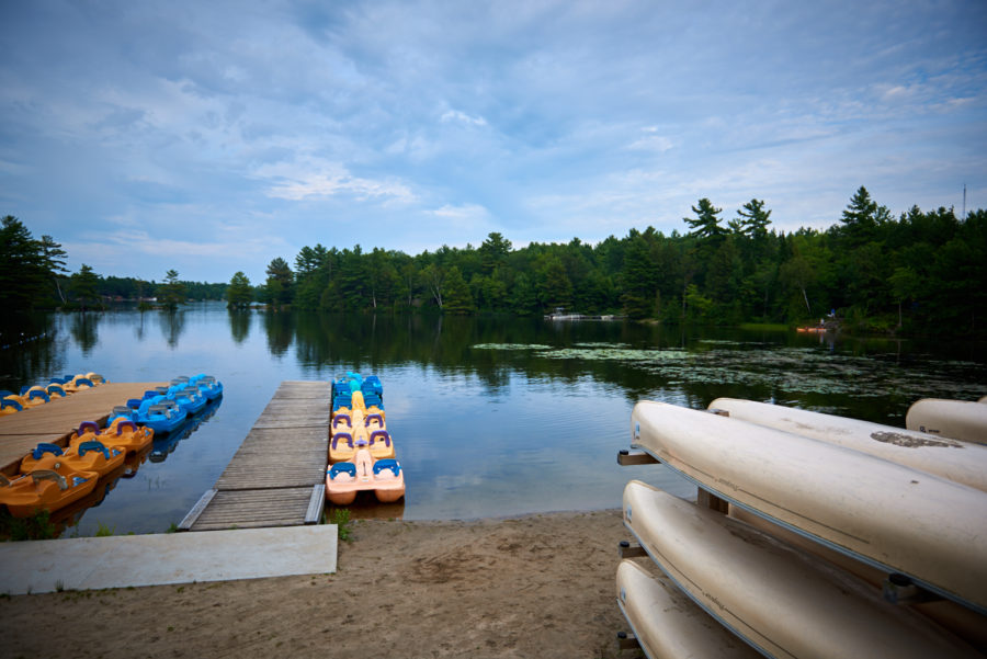 dock with boats