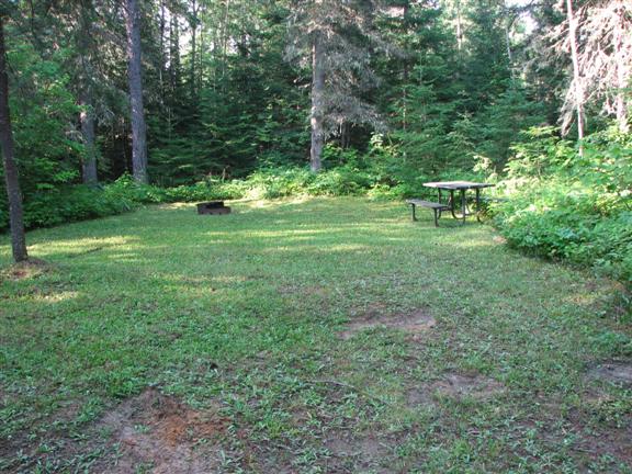 Site 7 is shaded with grass.