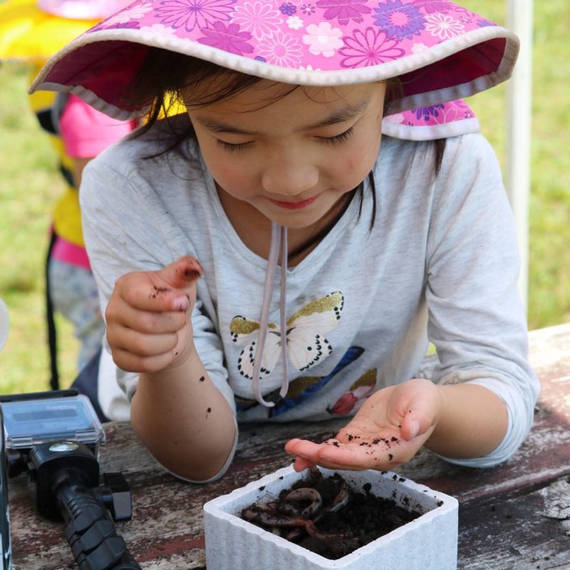 Participant playing with the bait, worms.