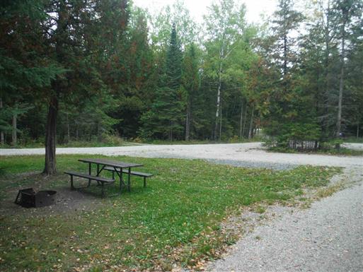 View of site 79 shows flat pull through site with nice spur for RV.