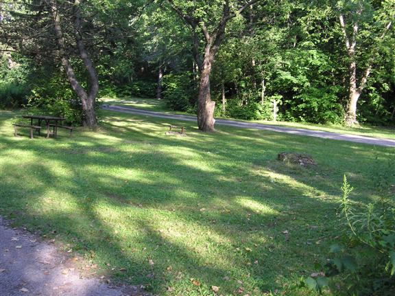 View of site 276 showing a green grass coverage of a pull through site.