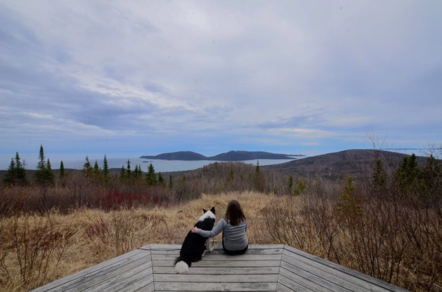 Laura and Sitka looking out over Pic Island from the lookout platform.