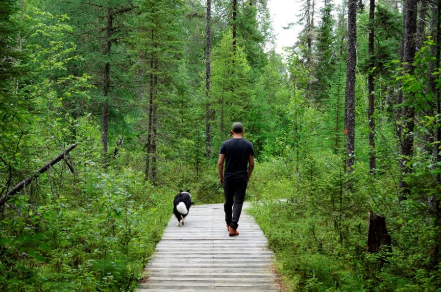 Sitka and one of her humans walking on a boardwalk.