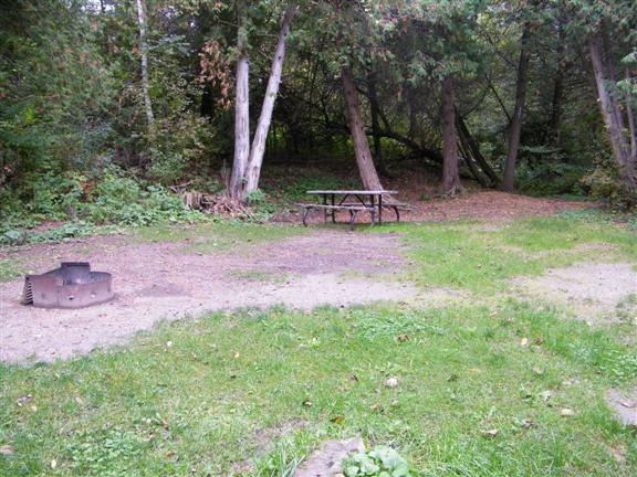 View of site 62 surrounded by cedar trees.