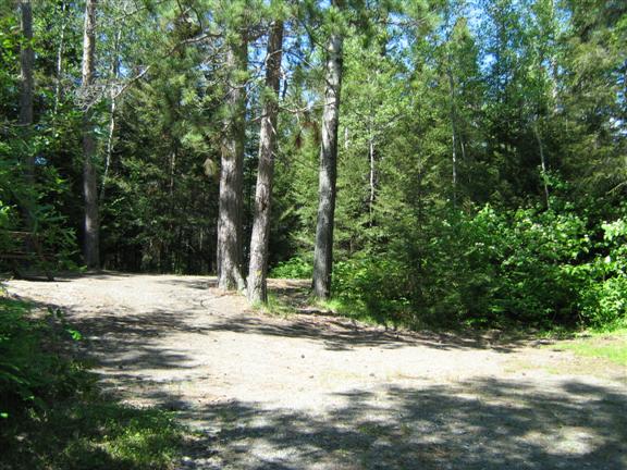 View of site 49 showing nice soil covered ground.