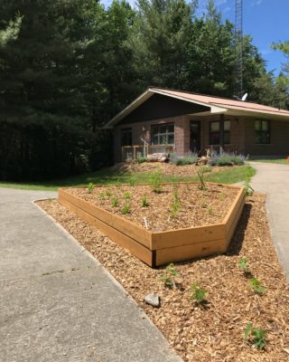 View of the pollinator garden right after everything was planted.