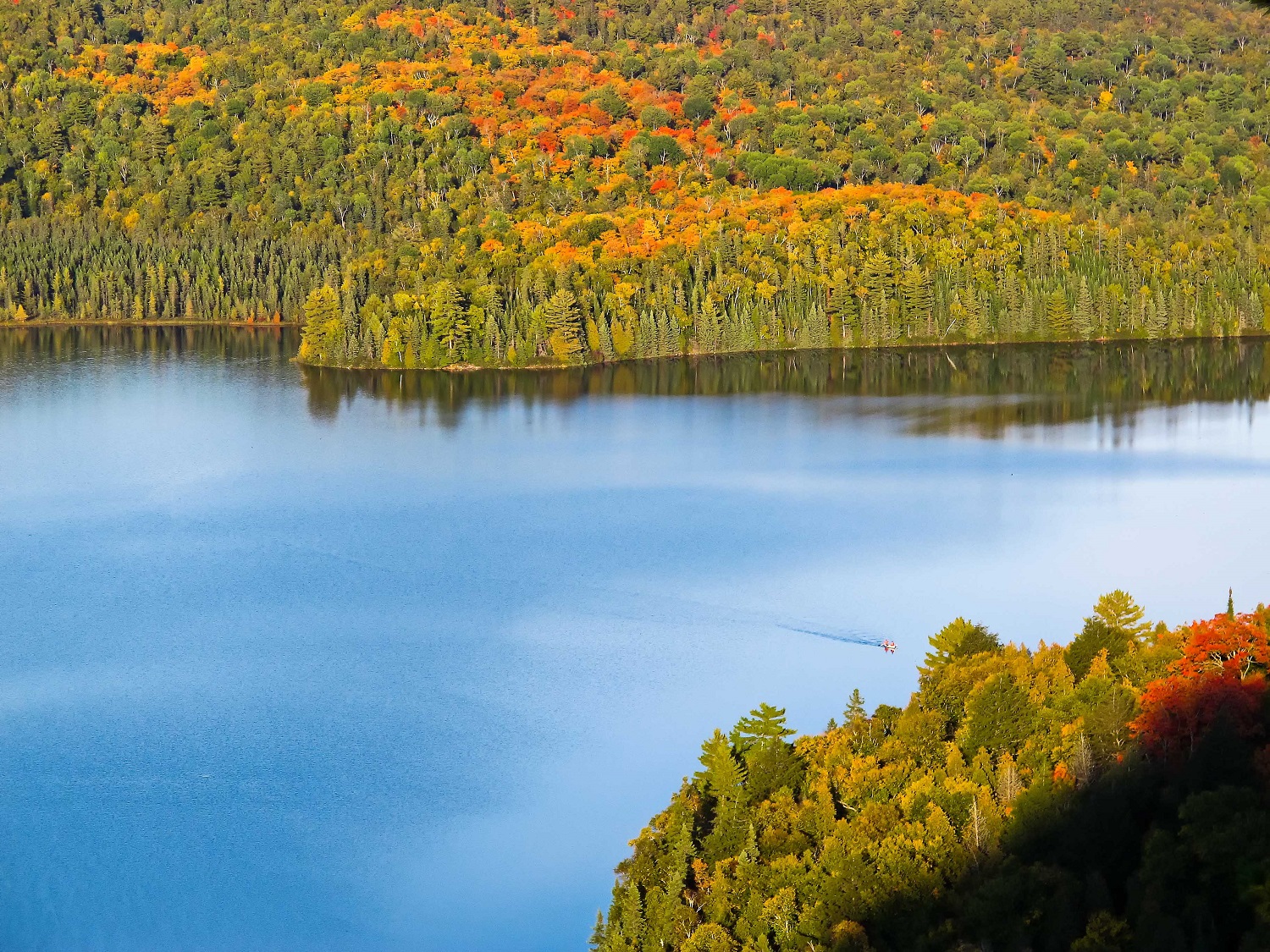 fall foliage from lookout cliff