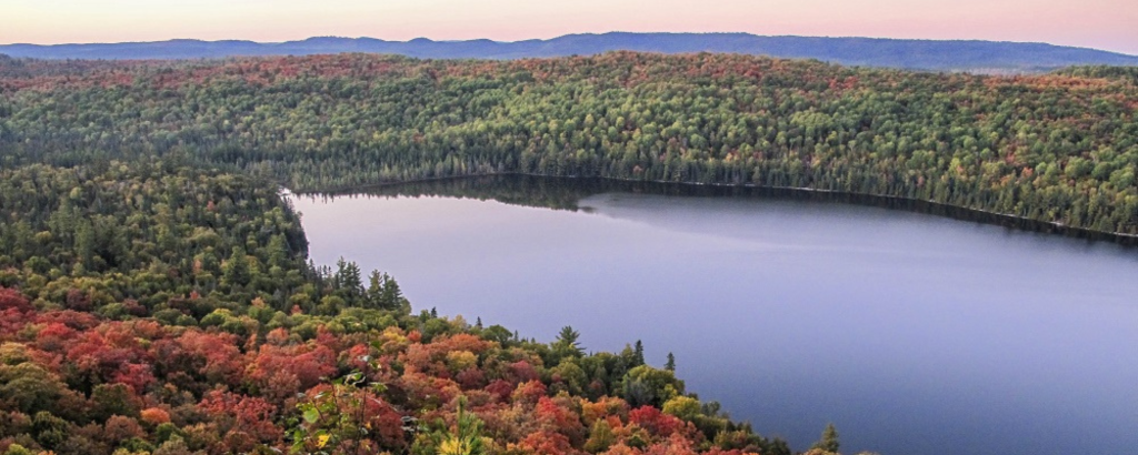 View of a lake with a forest of fall colours around it