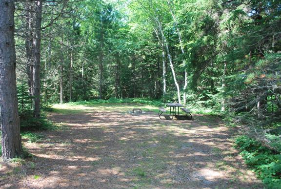 View of site 77 with trees surrounding.