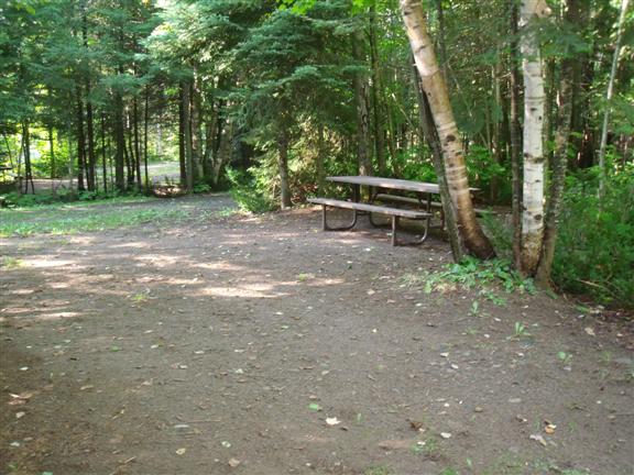 View of site 447 shows shaded site with flat ground.