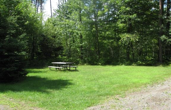 View of site 110 showing nice grass coverage.