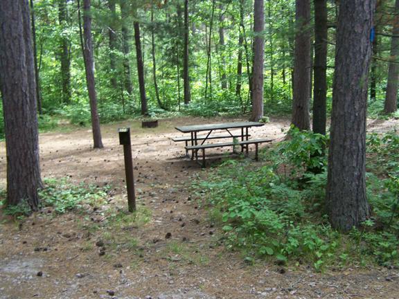 View of site 158 in among the trees.