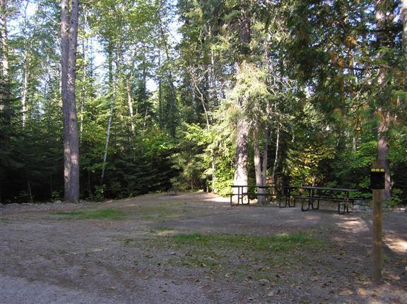 View of site 56 shows lots of shade and open space with good buffer surrounding it.