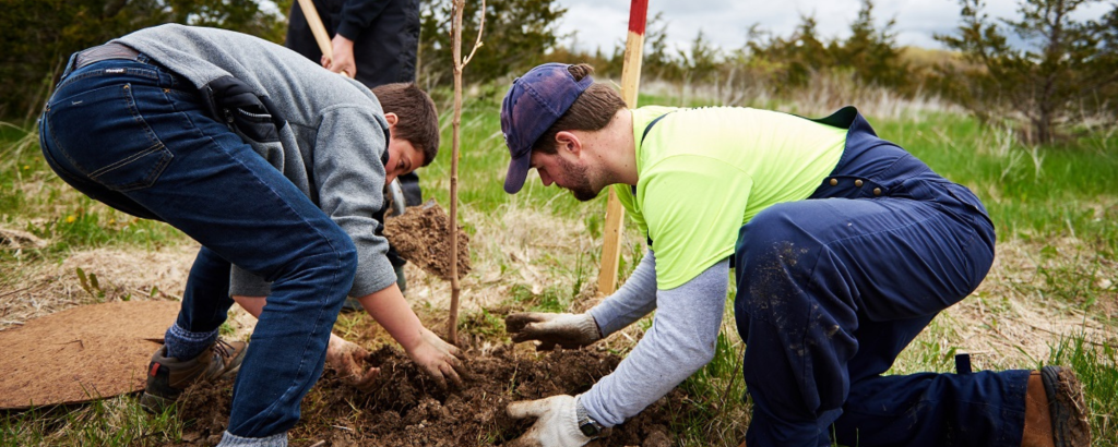 Staff planting trees