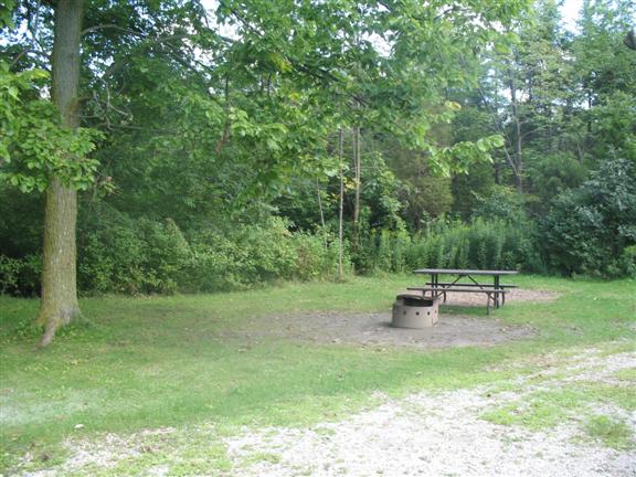 View of site 115 showing nice grass cover and a big tree on left hand of site.