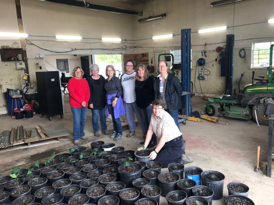 Sheila, staff, and volunteers posing in front of recently re-potted trees.