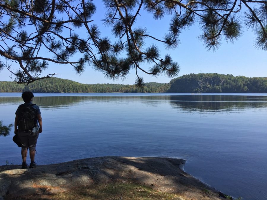 woman standing beside tranquil lake