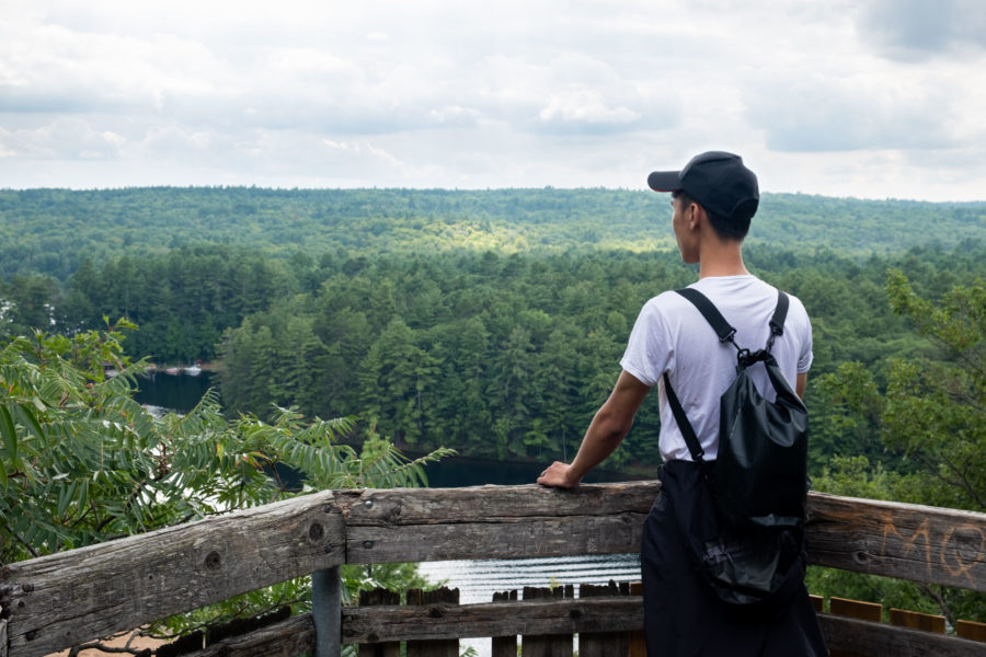 From the top of the lookout.