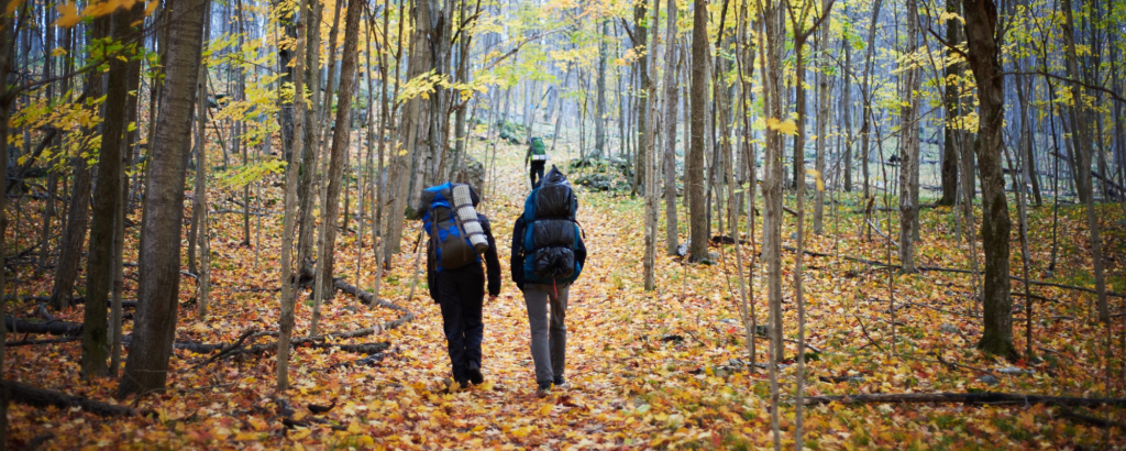 Two people hiking on a leaf covered trail