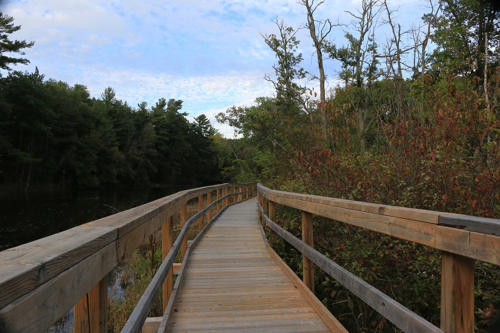 boardwalk