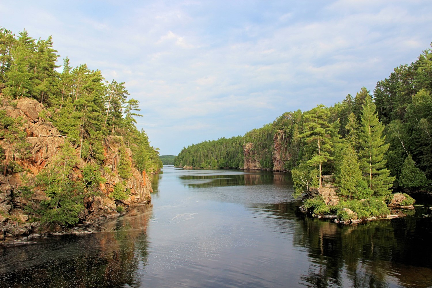 A wide river winding through tall, dense forest.