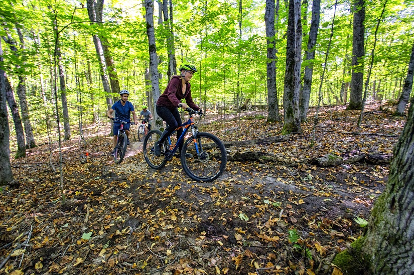 Bikers on mountain bike trail.