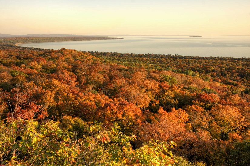 Vista of trees in fall with lake.