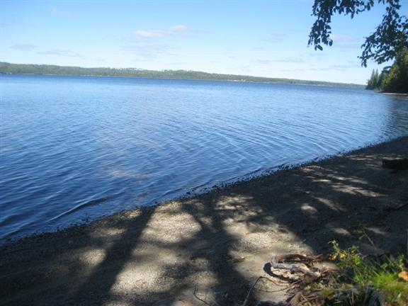 View of the waterfront view from site 61.