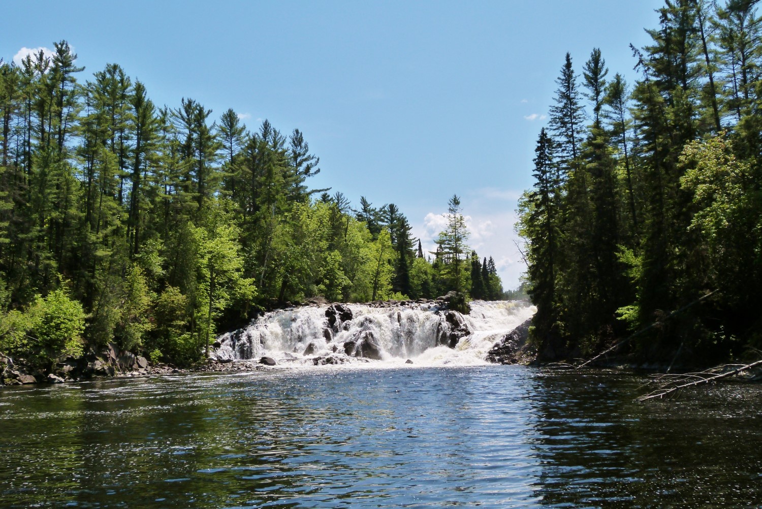 A waterway leading to a small waterfall, surrounded by tall trees