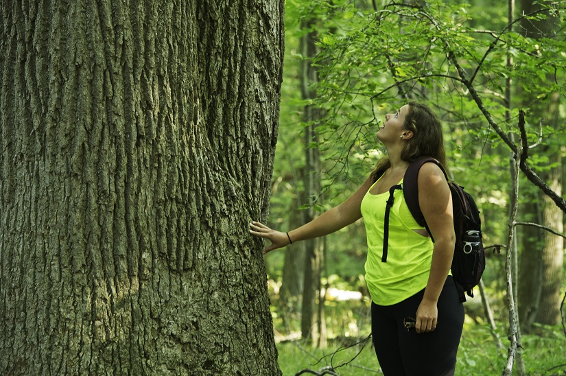 Girl stands and looks at tree