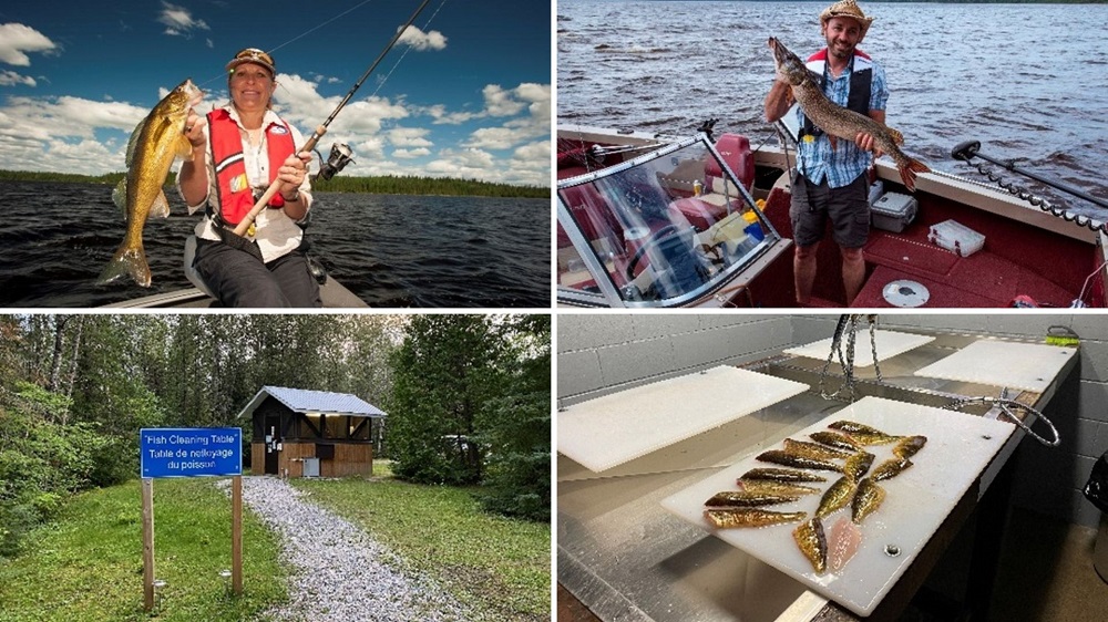 collage of fishing pictures