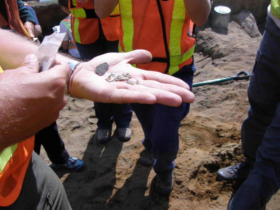 Small fragments found after a dig.