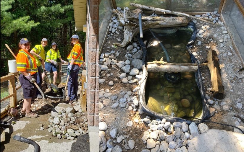 Staff repairing Spike's tank.